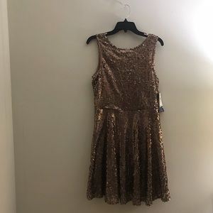 Rose Gold Sequin Dress